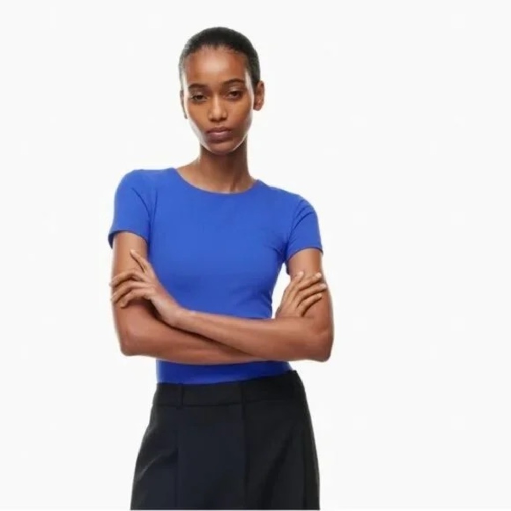 Aritzia Contour Crew Cropped T-Shirt